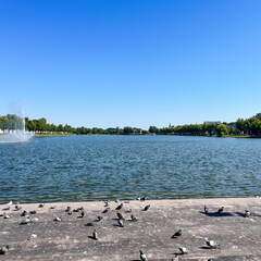 24-06-26 10-04-05 9907